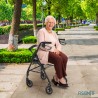 Girello pieghevole anziani disabili sedile cestello deambulatore Hazel Vendita