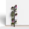 Portavasi piante design a parete da interno 10 scaffali Zia Flora WMH