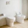 Vaso WC ceramica a terra filomuro scarico parete sanitari Zentrum VitrA Vendita