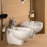 Asse copriwater sedile tavoletta bianco vaso WC bagno sanitari Geberit Colibrì