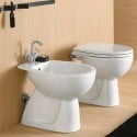 Asse copriwater sedile tavoletta bianco vaso WC bagno sanitari Geberit Colibrì