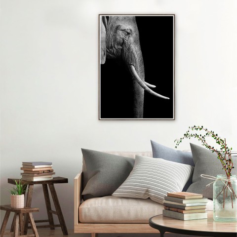 Stampa fotografia elefante animali poster cornice 50x70cm Unika 0017