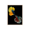 Stampa fotografia quadro pesci colorati cornice 30x40cm Unika 0021 Vendita