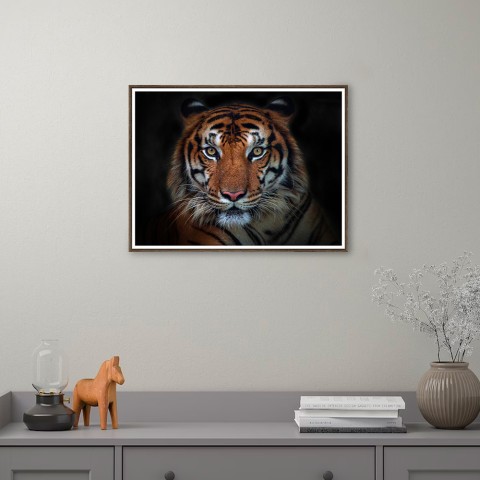 Stampa fotografia poster animali tigre cornice 30x40cm Unika 0027