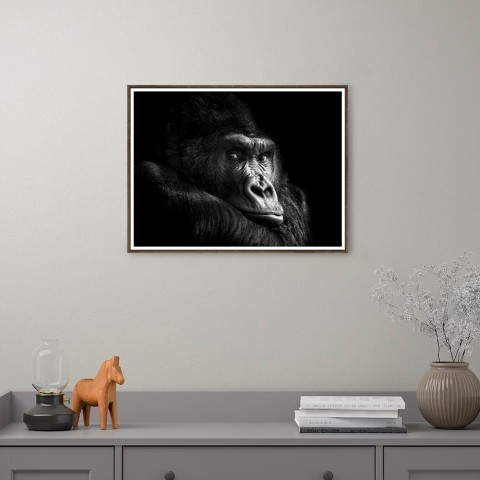 Stampa fotografia gorilla quadro animali cornice 30x40cm Unika 0026 Promozione