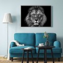 Quadro stampa fotografia leone bianco nero cornice 70x100cm Unika 0028 Promozione