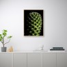 Stampa quadro fotografia pianta fiore cactus cornice 30x40cm Unika 0061