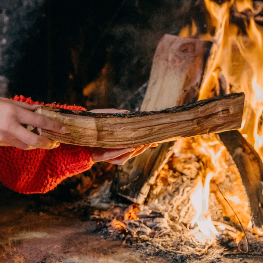 Legna di ulivo da ardere per camino, forni, bbq - nuovo formato