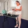 Tavolo Toelettatura Per Cani Animali Pieghevole Con Laccio Mastiff