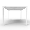 Pergola bioclimatica 3x4m da giardino in alluminio manuale Trinidad Modello