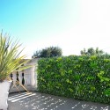 Siepe piante artificiale da giardino grigliato 200x100cm estensibile Laurus Vendita