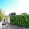 Siepe piante artificiale da giardino grigliato 200x100cm estensibile Laurus Vendita