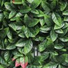 Siepe artificiale photinia realistica pannello giardino 50x50cm Suber Saldi
