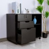 Cassettiera portadocumenti archivio ufficio con ruote serratura Twatt Caratteristiche