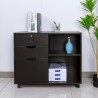 Cassettiera portadocumenti archivio ufficio con ruote serratura Twatt Misure