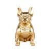 Scultura bulldog francese in resina dorata statua design moderno Forma-G Sconti