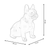 Scultura bulldog francese in resina multicolore statua pop art Forma-PA Costo