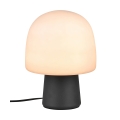 Lampada da tavolo scrivania design moderno con paralume in vetro Trist Promozione