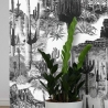 Carta da parati adesiva moderna bianco nero per soggiorno Cactus Saldi