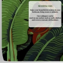 Carta adesiva da parati di design natura giungla Foglia di Banano Nero Catalogo