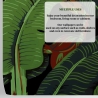 Carta adesiva da parati di design natura giungla Foglia di Banano Nero Catalogo