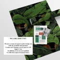 Carta adesiva da parati di design natura giungla Foglia di Banano Nero Stock