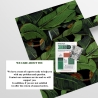 Carta adesiva da parati di design natura giungla Foglia di Banano Nero Stock