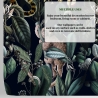 Carta da parati camera da letto floreale jungle Giungla Botanica Stock