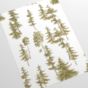 Carta da parati adesiva foresta per soggiorno ingresso  Pini Verdi Saldi