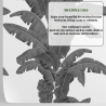 Carta da parati urban jungle piante bianco e grigio Palme Esotiche Offerta