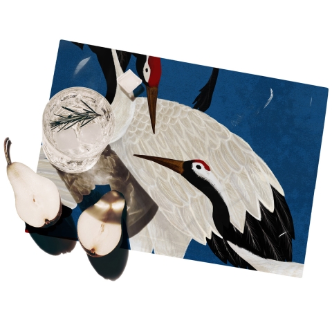 Set 2 tovagliette americane da tavolo lavabili 42x30cm Aironi Blu Promozione