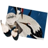Set 2 tovagliette americane da tavolo lavabili 42x30cm Aironi Blu Promozione
