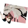 Set  2 tovagliette americane tavolo plastificate 42x30cm Aironi Rosa Promozione