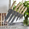 Set 5 coltelli in acciaio inox con ceppo trasparente Pierre Gourmet Offerta