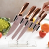 Set 5 coltelli in acciaio inox con ceppo trasparente Bisetti Stonerose Vendita