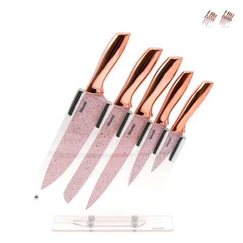 Set 5 coltelli in acciaio inox con ceppo trasparente Bisetti Stonerose Promozione