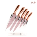 Set 5 coltelli in acciaio inox con ceppo trasparente Bisetti Stonerose Promozione