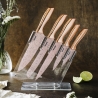 Set 5 coltelli in acciaio inox con ceppo trasparente Bisetti Stonerose Offerta