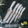 Set 5 coltelli cucina in acciaio inox con ceppo trasparente Stonewhite Vendita