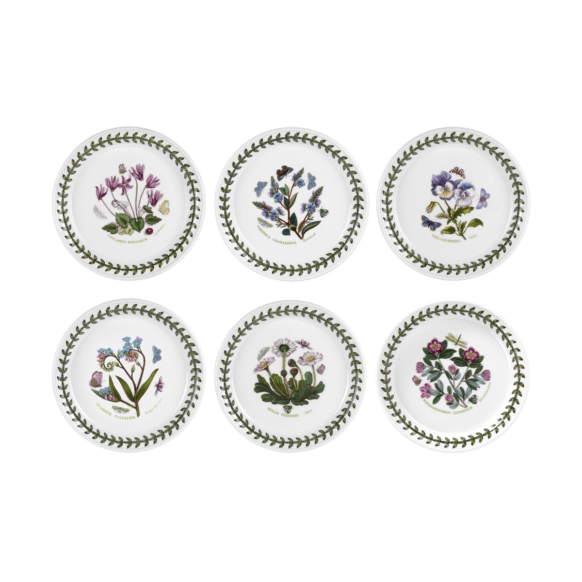 Set di 6 piatti da pane piatti in porcellana 16,5 cm Botanic Garden Promozione