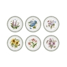 Set di 6 piatti 25 cm in porcellana Portmeirion Botanic Garden Promozione