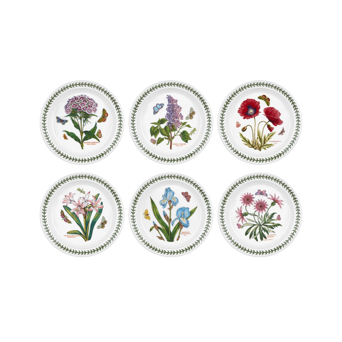 Set di 6 piatti piani 20 cm in porcellana Portmeirion Botanic Garden Promozione