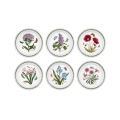 Set di 6 piatti piani 20 cm in porcellana Portmeirion Botanic Garden Promozione