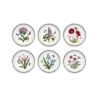 Set di 6 piatti piani 20 cm in porcellana Portmeirion Botanic Garden Promozione
