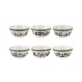 Set di 6 ciotole impilabili 13 cm in porcellana Portmeirion Botanic Garden Promozione