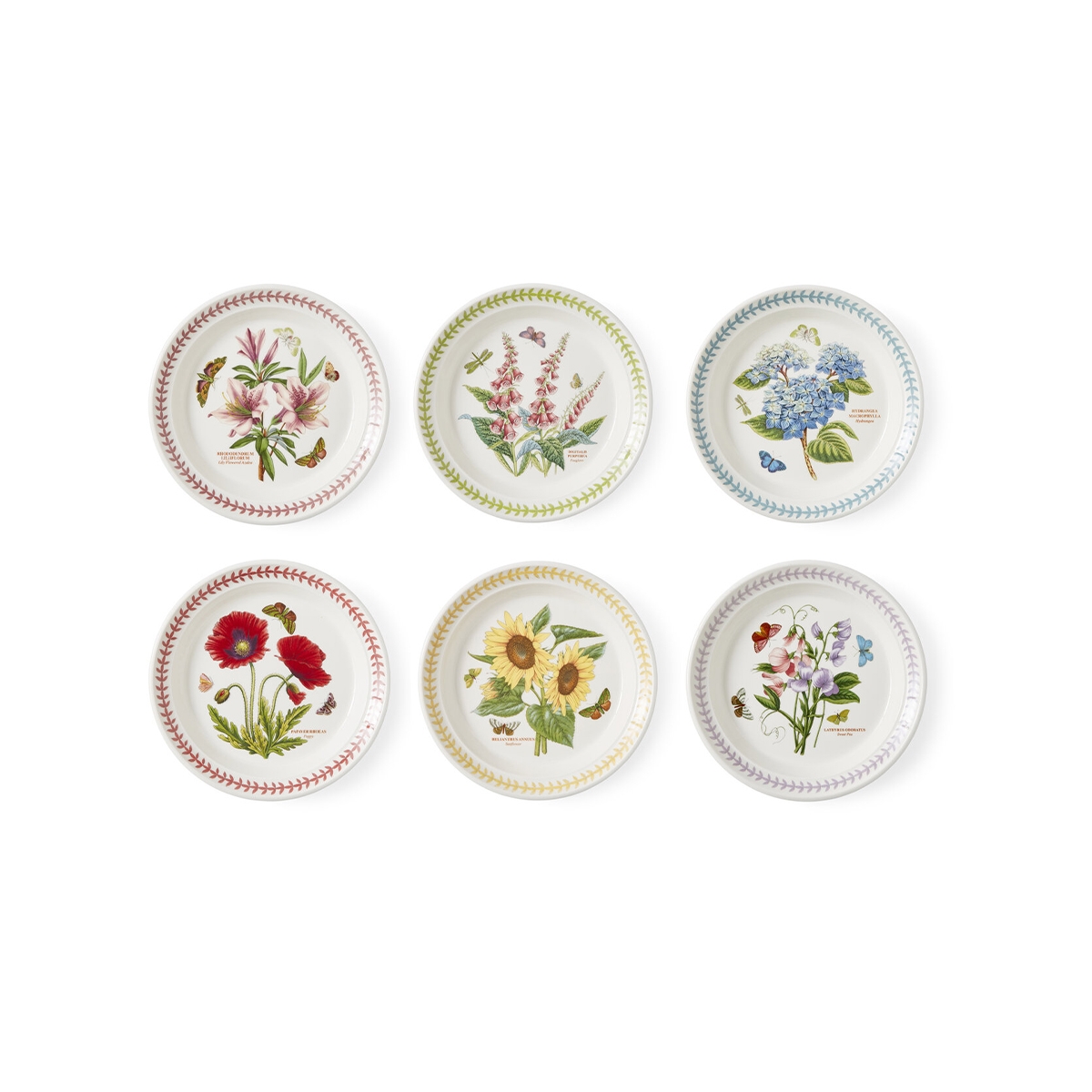 Set di 6 piatti piccoli 21,5 cm Portmeirion Botanic Garden Meadow Promozione