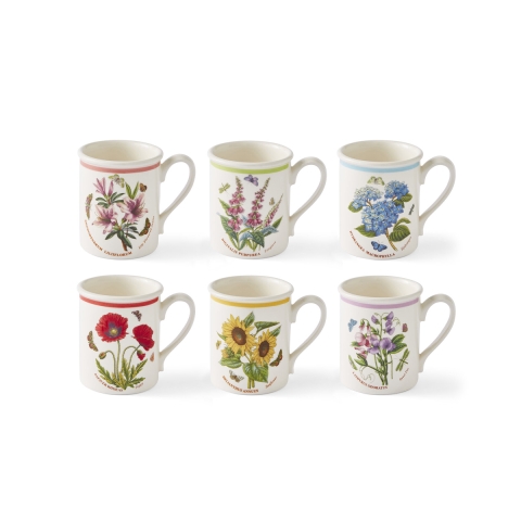 Set di 6 tazze da colazione 260 ml Portmeirion Botanic Garden Meadow Promozione