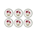 Set di 6 piatti piani 26,7cm in porcellana Portmeirion Botanic Garden Promozione
