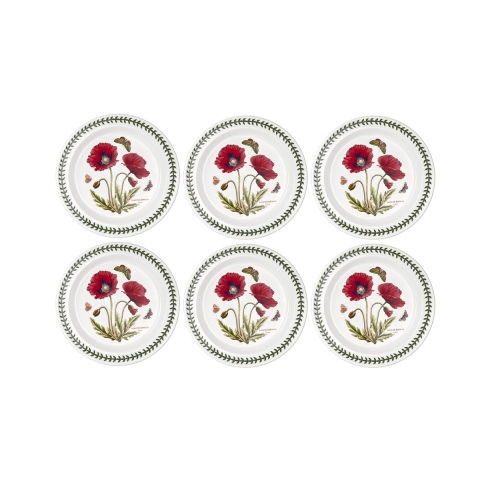 Set di 6 piatti piani 26,7cm in porcellana Portmeirion Botanic Garden Promozione