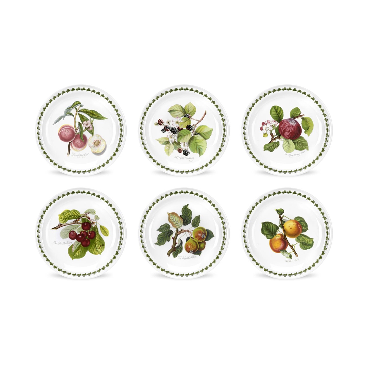 Set di 6 piatti piani in porcellana 20cm Portmeirion Pomona Promozione